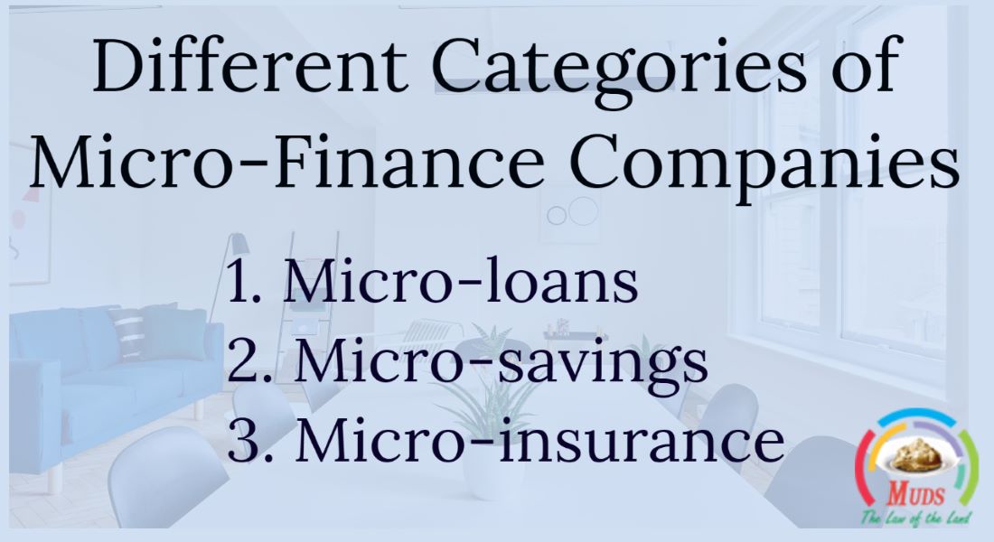 Micro-Finance Companies