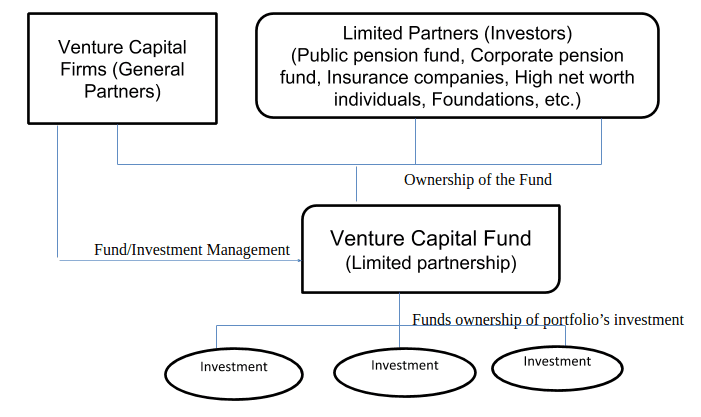 Structure of Venture Capital Fund