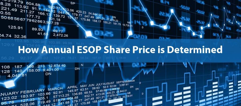 Annual ESOP Share Price