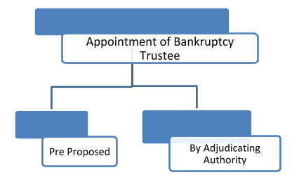 Appointment of Bankruptcy Trustee
