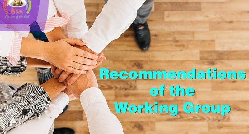 Recommendations of the working group