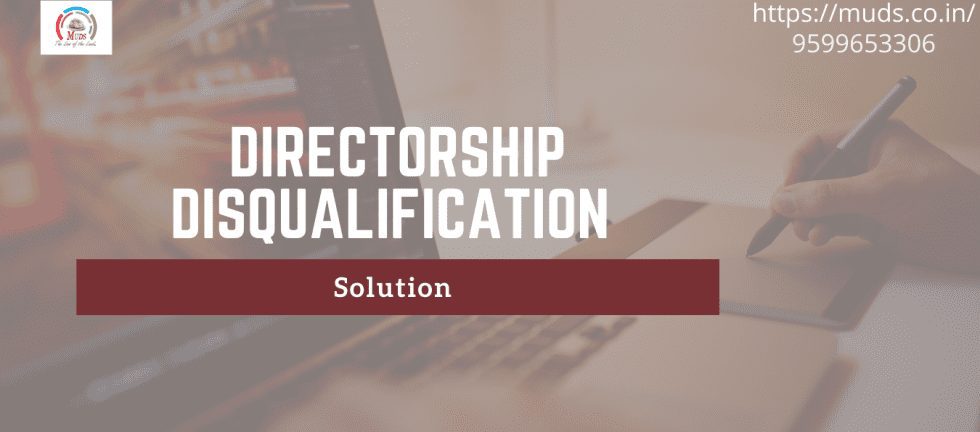 director disqualification solution