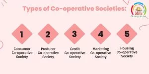 Types of Co-operative Societies