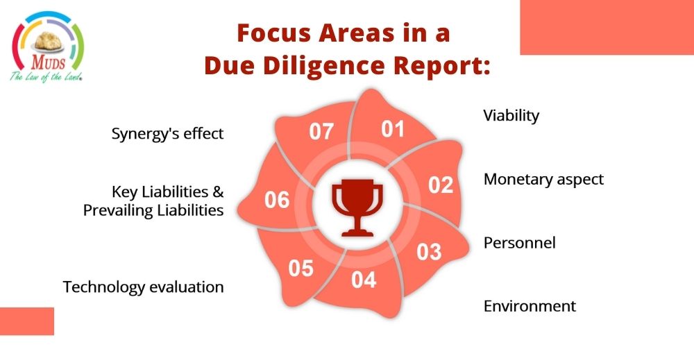 Focus Areas in a Due Diligence Report