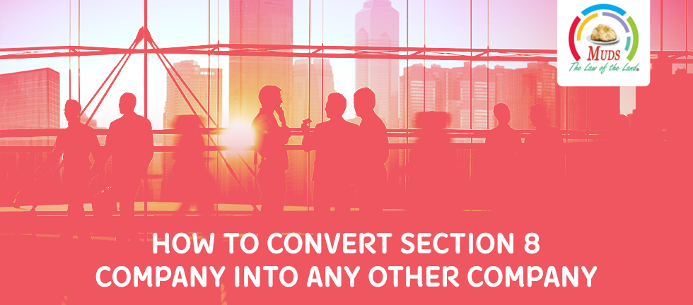 Convert Section 8 Company Into Any Other Company