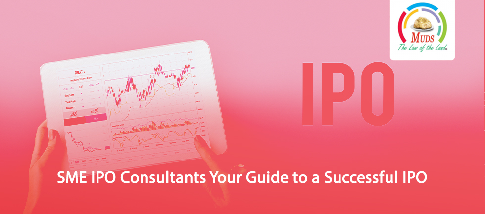 SME IPO Consultants Your Guide to a Successful IPO